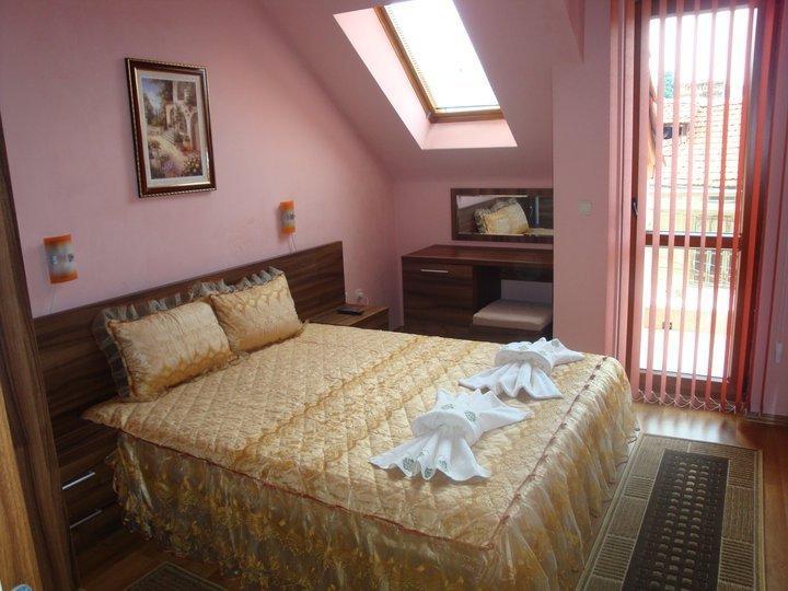 Tzvetelina Palace Hotel Долна-Баня Номер фото