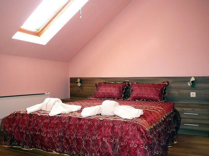 Tzvetelina Palace Hotel Долна-Баня Номер фото
