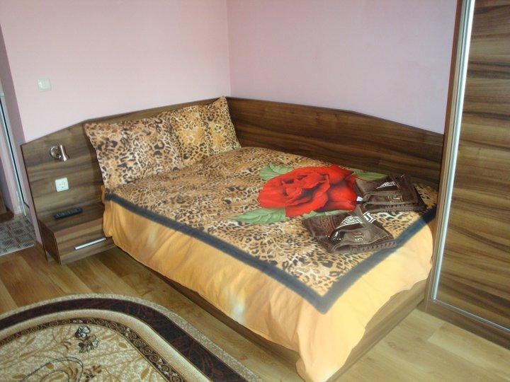 Tzvetelina Palace Hotel Долна-Баня Номер фото