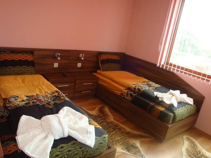 Tzvetelina Palace Hotel Долна-Баня Номер фото